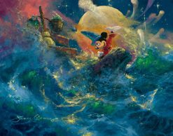 Sorcerer’s Symphony – Disney Treasures Edition
