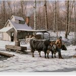 Sugar Shack