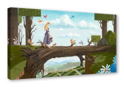 NaturalBridgeD 530x@2x